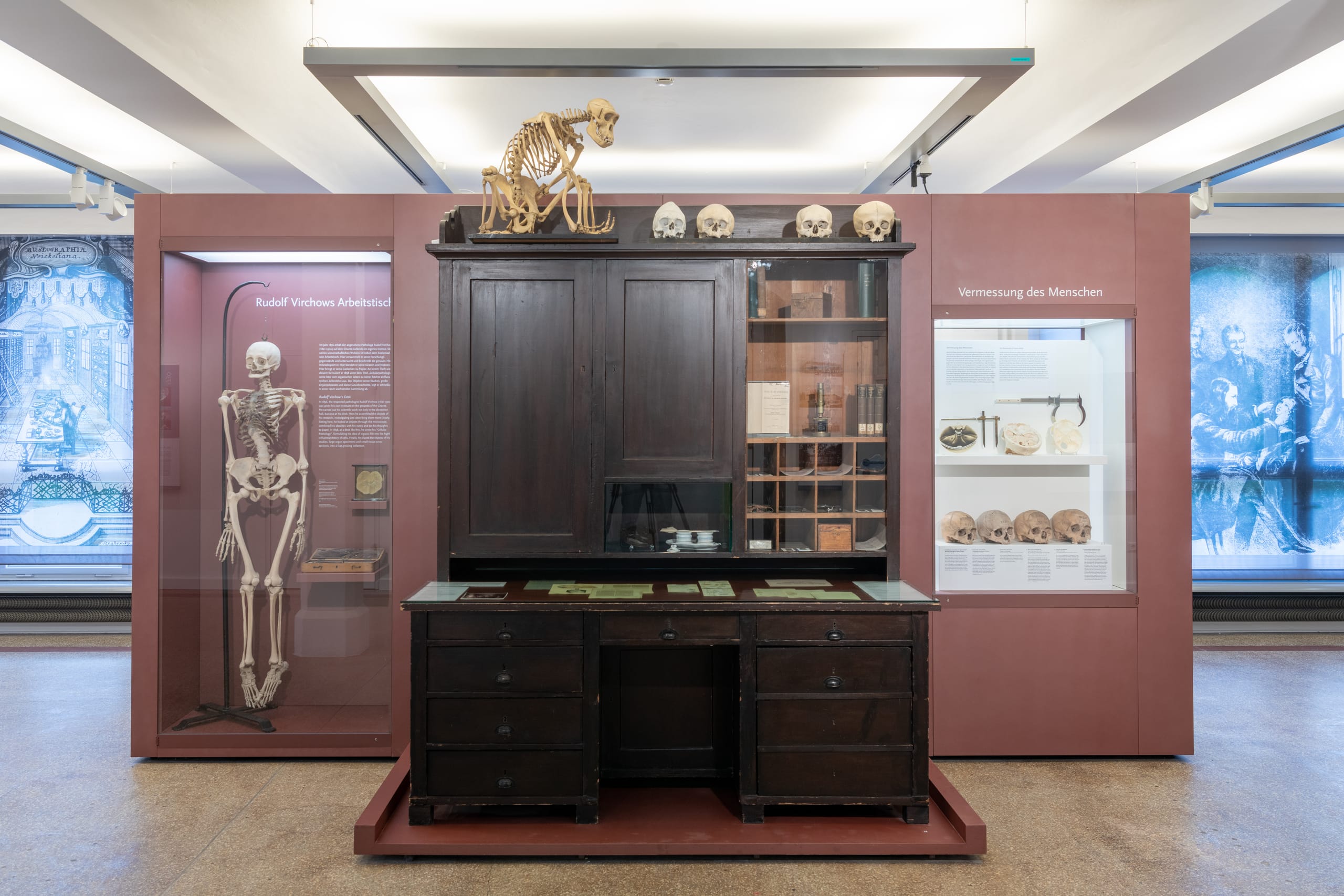 Berliner Medizinhistorisches Museum