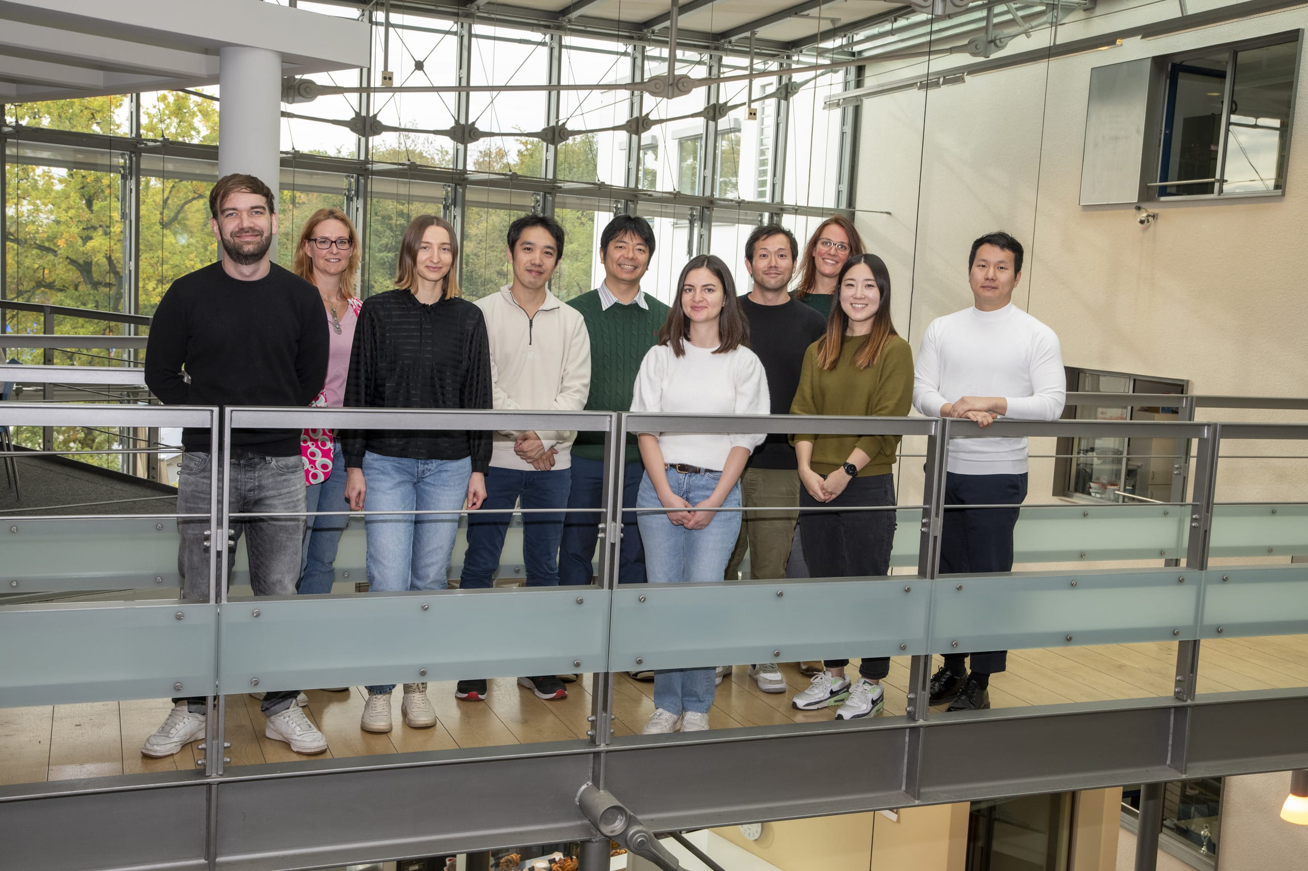 RNA-Molek-l-in-der-Niere-l-st-t-dliche-Autoimmunerkrankung-aus