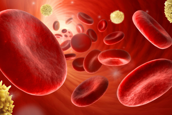 An-mie-betrifft-jeden-Dritten-nach-chirurgischen-Eingriffen