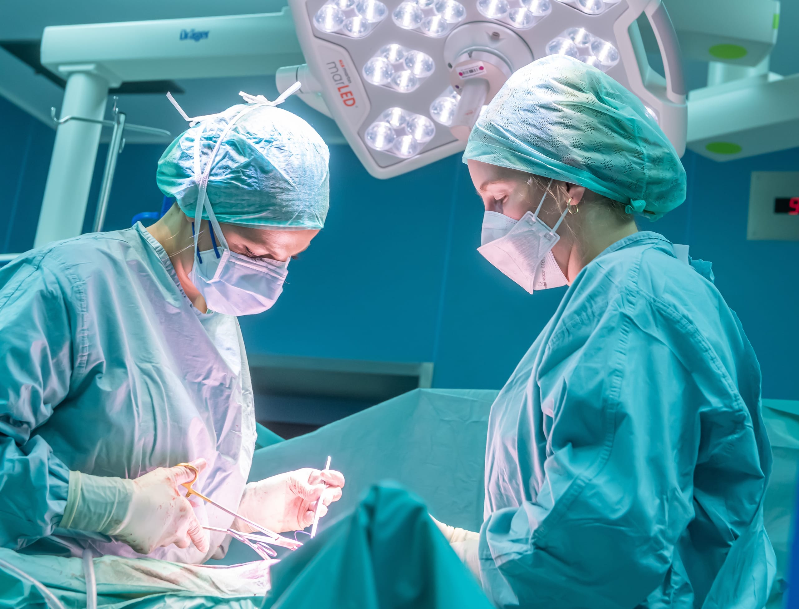 Simultane-Perfusion-neue-M-glichkeiten-f-r-Multiorgantransplantationen